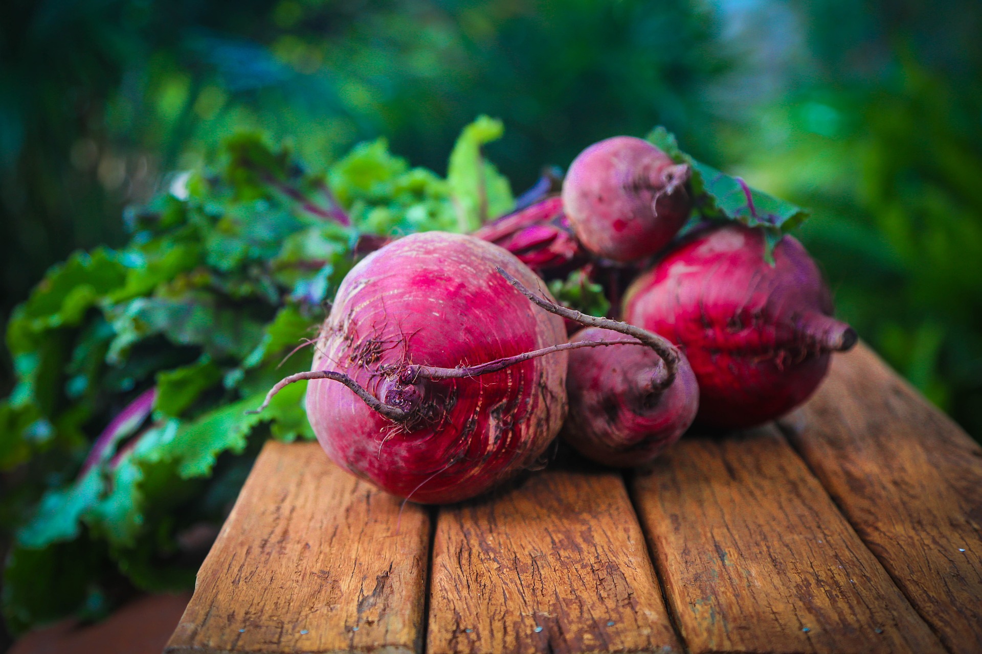 Bunched beetroot