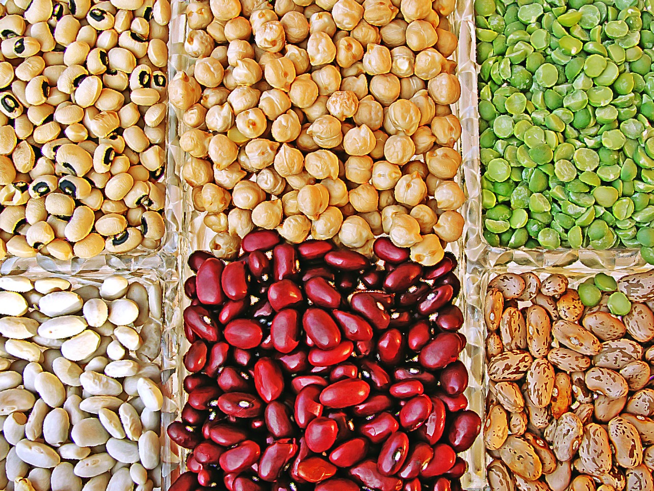 Variety of pulses