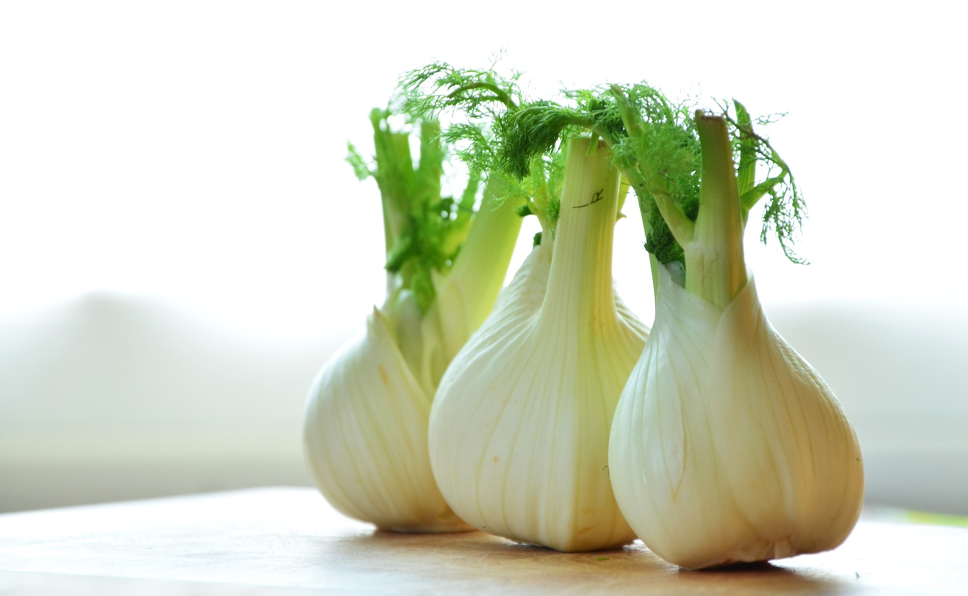 Fennel bulbs