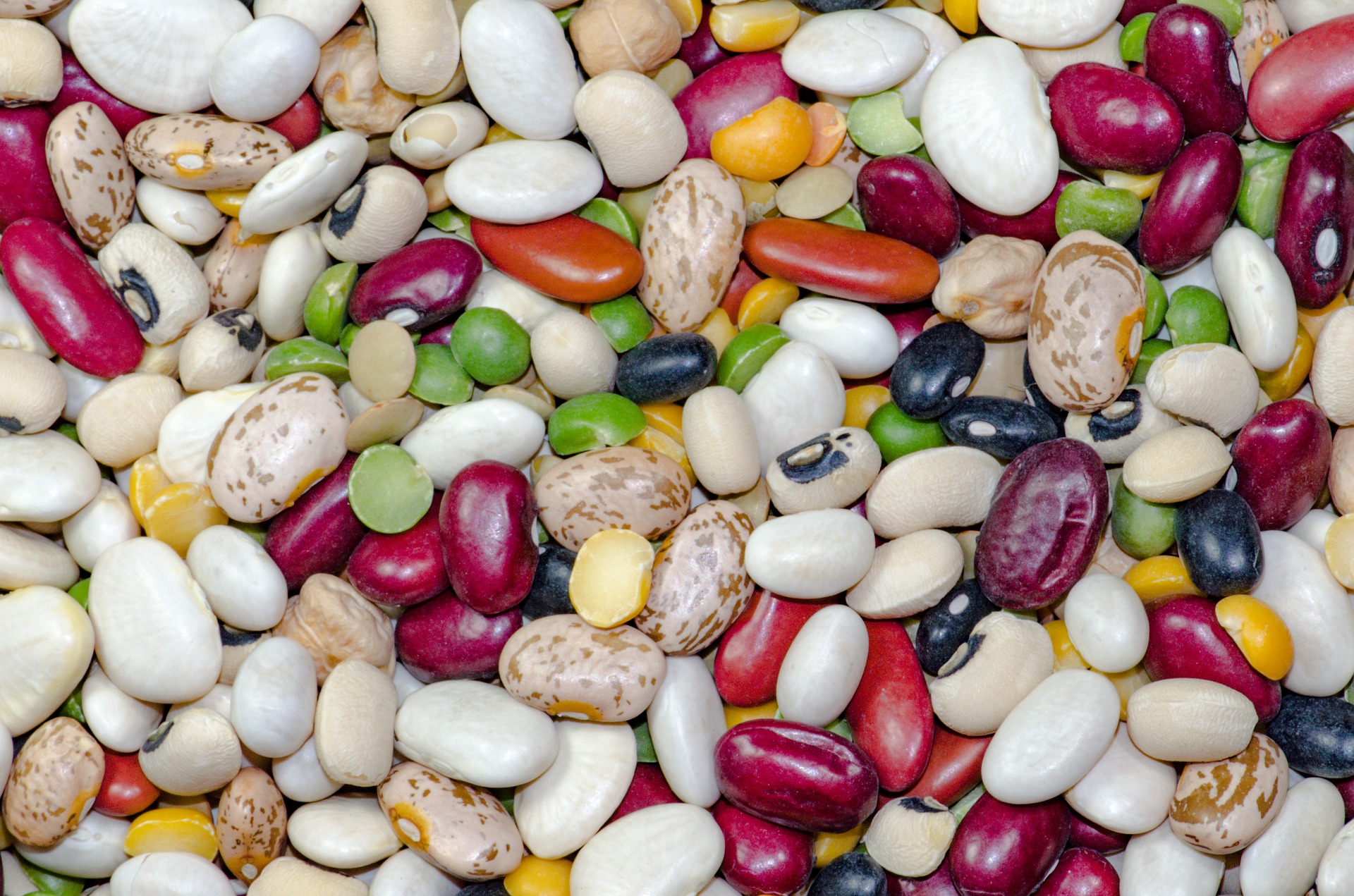 Variety of beans and pulses