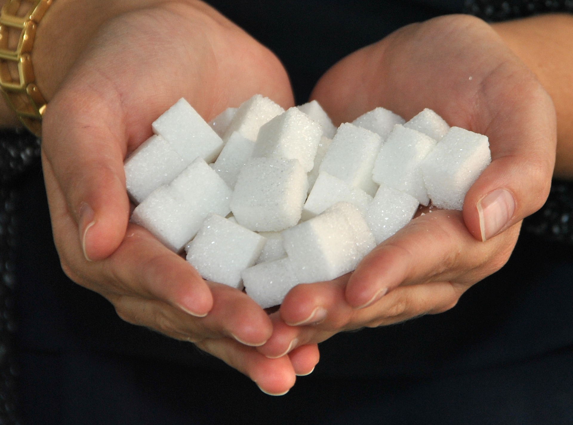 Cupped hands holding sugar cubes