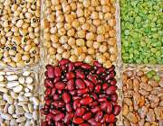 Variety of pulses